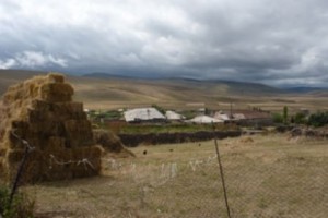 Եթե ագրարային քաղաքականությունը երկրում այսպես շարունակվի, ապա ...