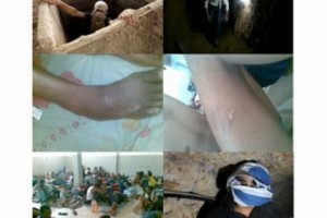 Prisoners in the Sinai: Latest Updates