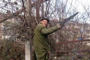 Լադոն ծառեր է հատում, համ էլ «ուշունց տվան ա»
