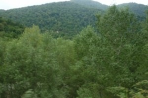 «Շրջակա միջավայրի վրա ազդեցության գնահատման եւ փորձաքննության մասին» 
ՀՀ օրենքում փոփոխություններ եւ լրացումներ կատարելու մասին օրենքի նախագիծ