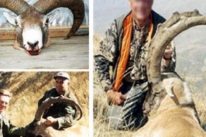 Endangered species for sale