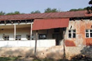 Helping a Living Village