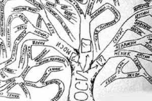 Roots and leaves