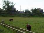 29_06-sevkar 29_06-sevkar