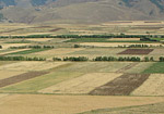 24_08-syunik 24_08-syunik